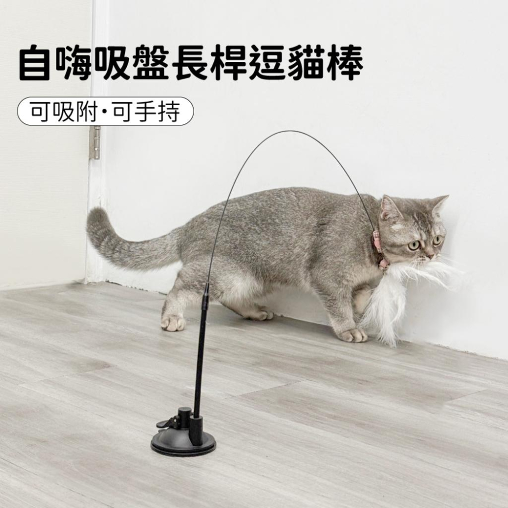 🚀隔日到貨🚀萌寵要當家 台灣現貨 有喵病 自嗨吸盤長桿逗貓棒 逗貓棒 自嗨玩具 貓玩具 逗貓玩具 貓咪-細節圖3