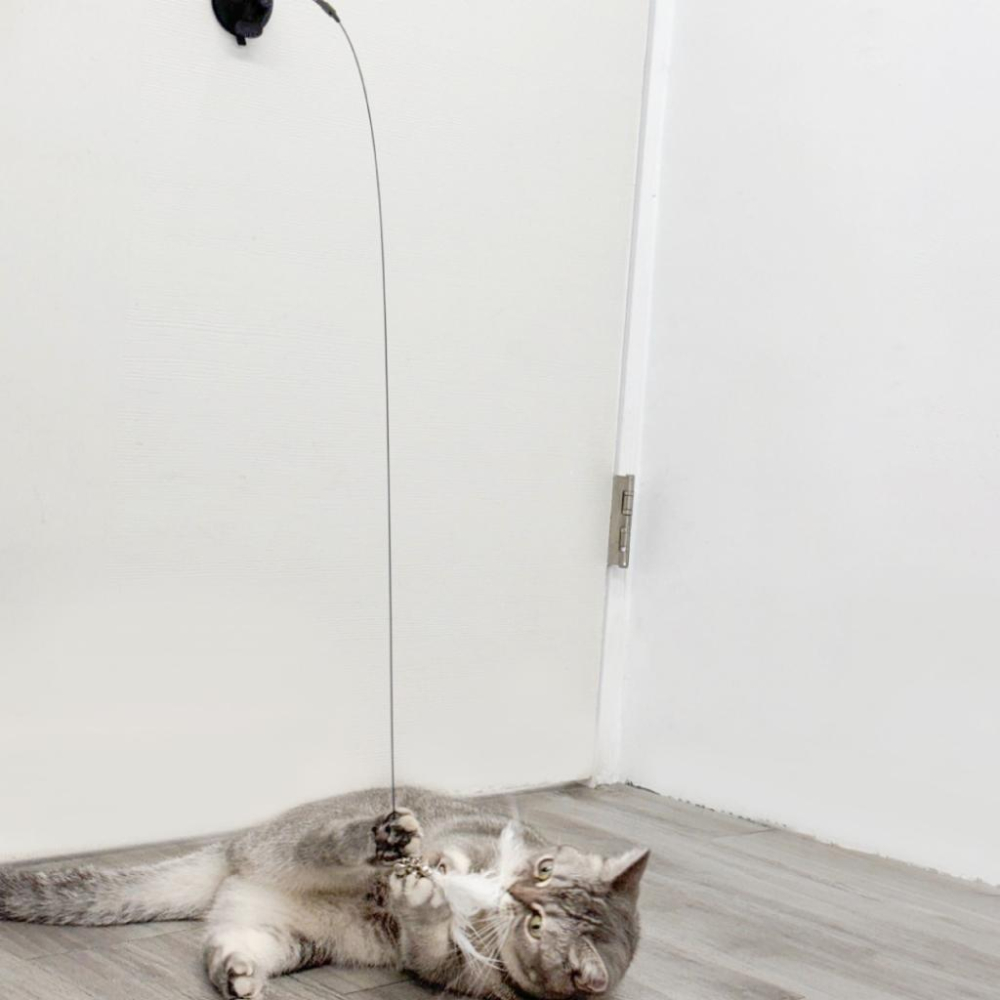 🚀隔日到貨🚀萌寵要當家 台灣現貨 有喵病 自嗨吸盤長桿逗貓棒 逗貓棒 自嗨玩具 貓玩具 逗貓玩具 貓咪-細節圖4