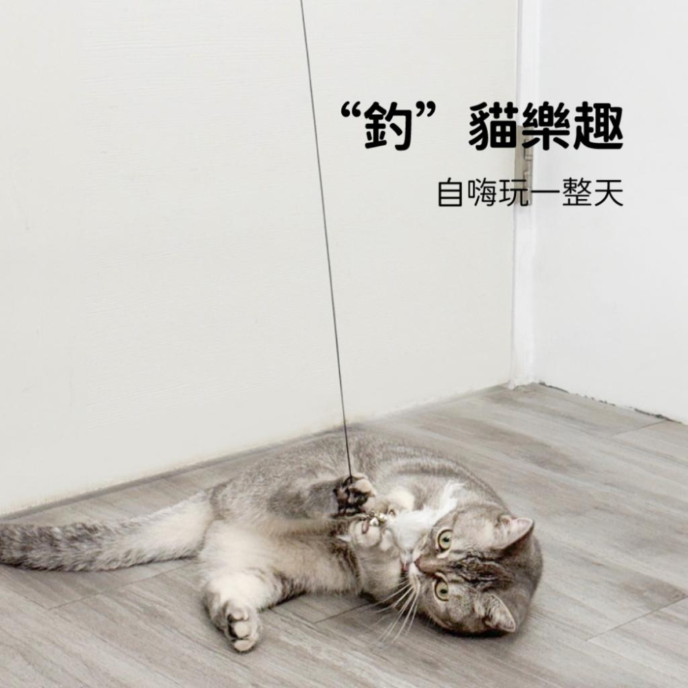 🚀隔日到貨🚀萌寵要當家 台灣現貨 有喵病 自嗨吸盤長桿逗貓棒 逗貓棒 自嗨玩具 貓玩具 逗貓玩具 貓咪-細節圖5