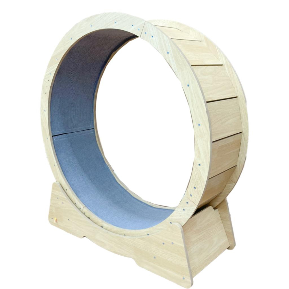 🚀隔日到貨🚀萌寵要當家 台灣現貨 有喵病 貓咪靜音跑步機 貓咪跑輪 貓咪滾輪 貓咪玩具-細節圖4