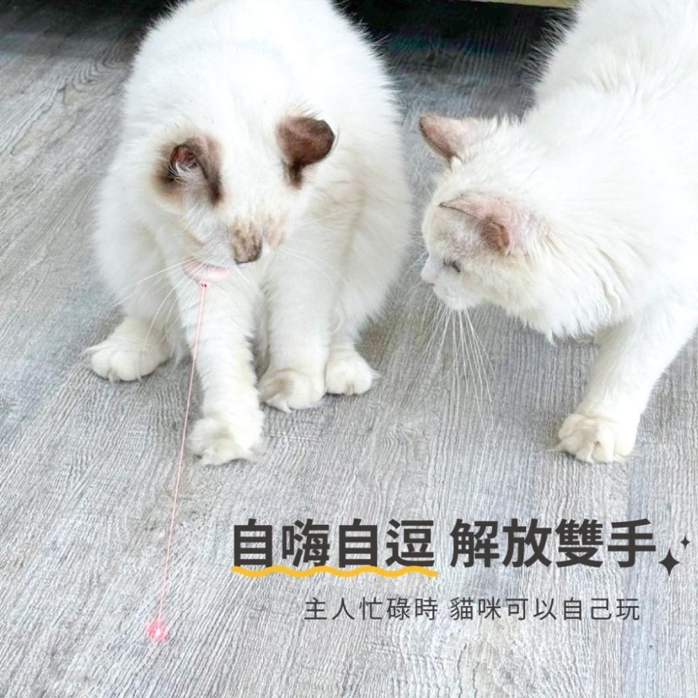 🚀隔日到貨🚀萌寵要當家 台灣現貨 有喵病 貓咪激光鈴噹項圈 項圈 紅外線項圈 紅外線逗貓 貓玩具 狗項圈 逗貓棒-細節圖4
