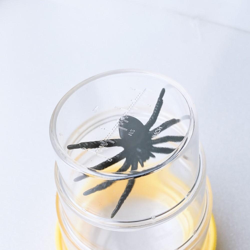 🚀隔日到貨🚀萌寵要當家寵物來了 台灣現貨 昆蟲觀察三節杯 抓昆蟲 觀察器 小孩觀察 放大鏡-細節圖4