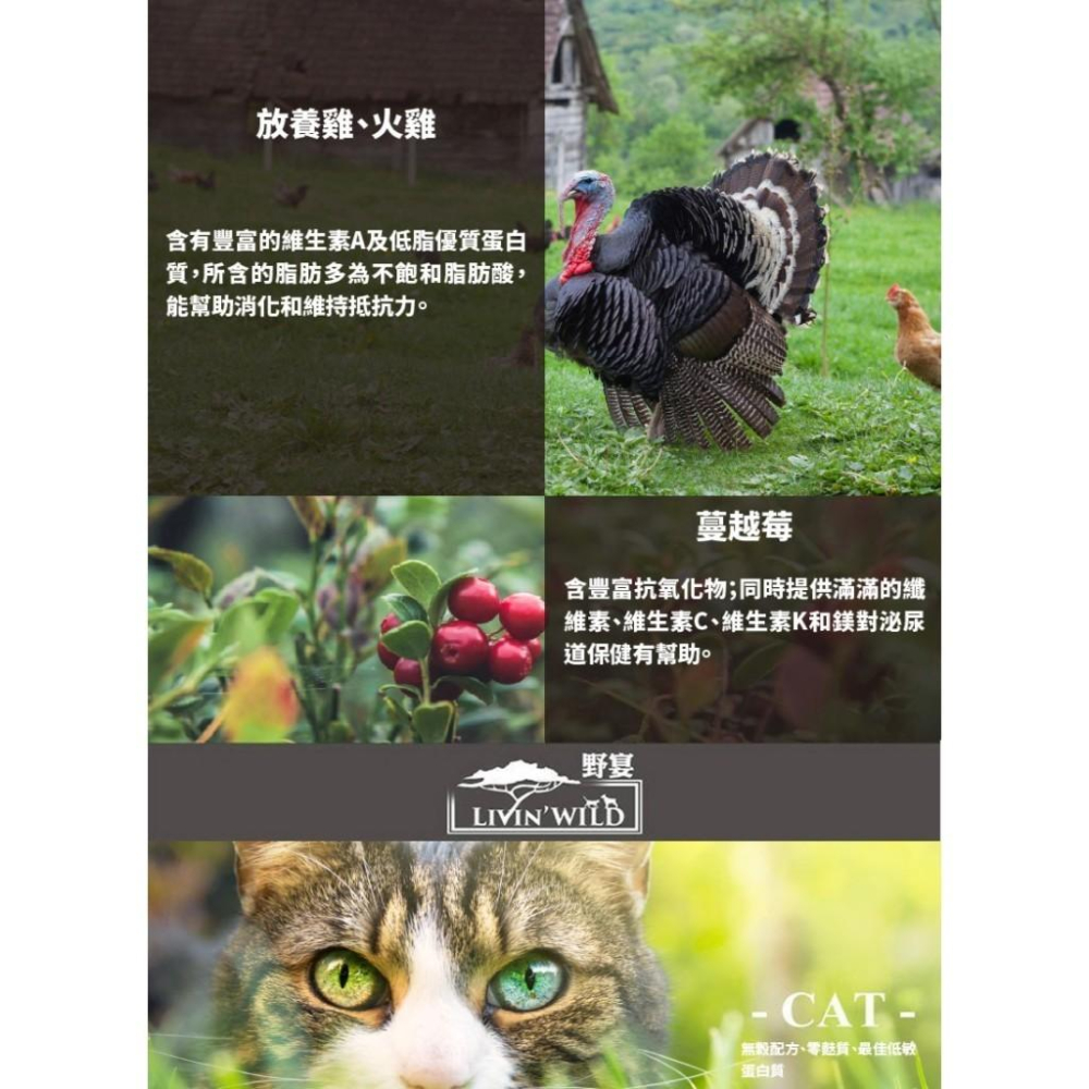 🚀隔日到貨🚀萌寵要當家【Livin＇ Wild 野宴 貓飼料】紐西蘭 草飼無穀 全齡貓 貓飼料 貓乾糧【4lb】小包-細節圖3