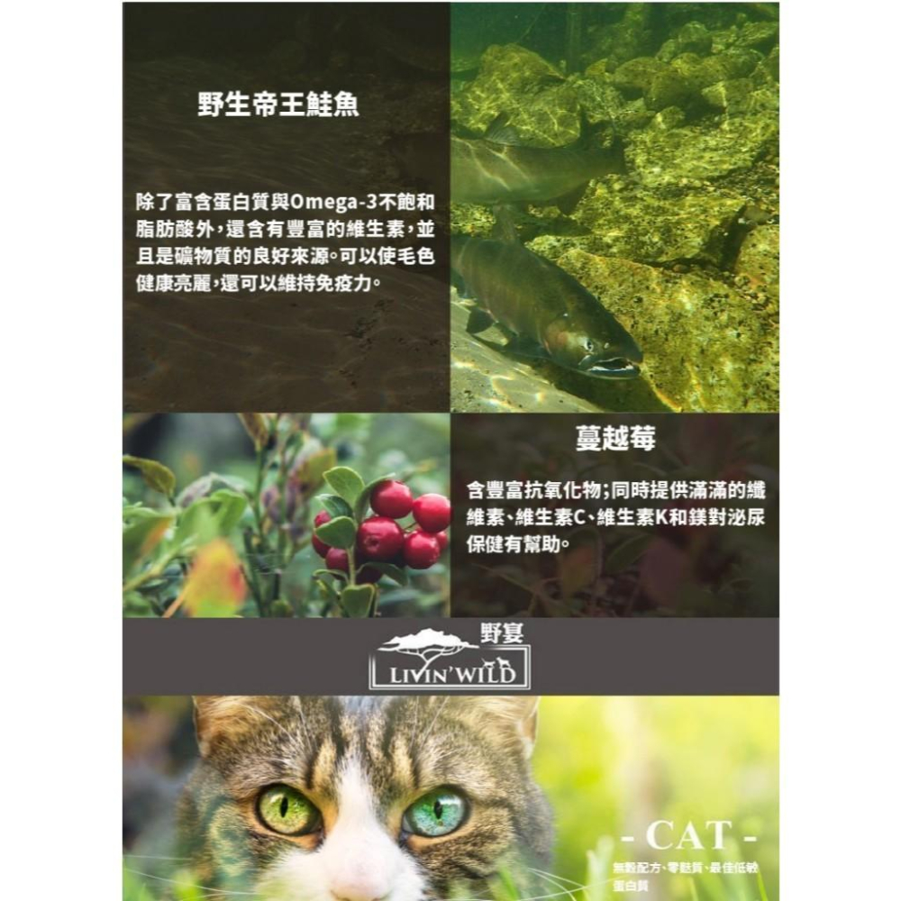 🚀隔日到貨🚀萌寵要當家【Livin＇ Wild 野宴 貓飼料】紐西蘭 草飼無穀 全齡貓 貓飼料 貓乾糧【4lb】小包-細節圖7