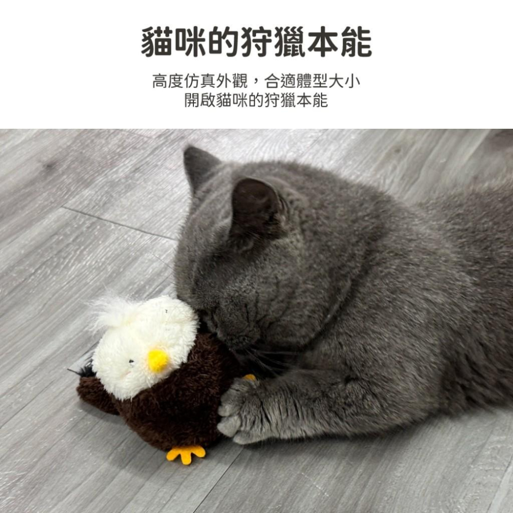 🚀隔日到貨🚀萌寵要當家 有喵病 台灣現貨 抖抖動物玩具  貓玩具 逗貓球 自嗨玩具 仿真鳥 充電款 翅膀抖動-細節圖4
