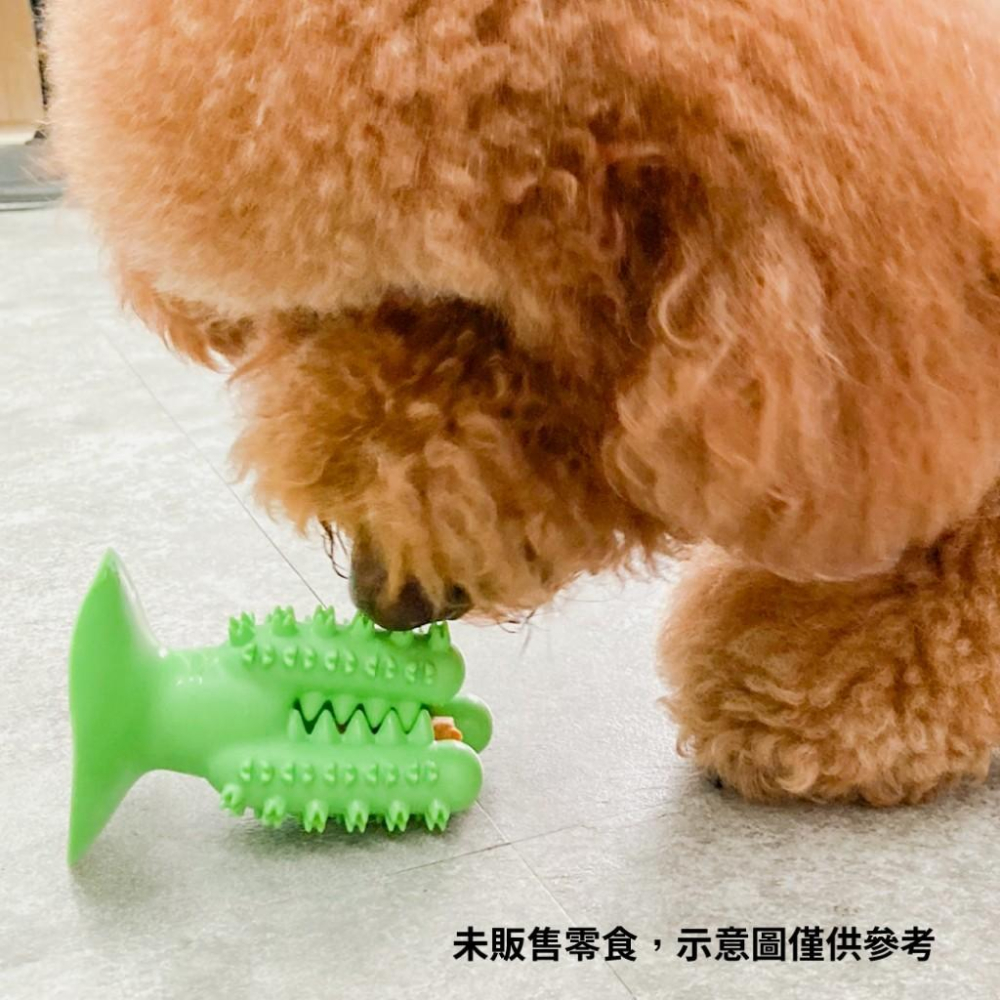 🚀隔日到貨🚀萌寵要當家 寵物來了 台灣現貨 吸盤磨牙互動玩具 狗磨牙玩具 互動玩具 潔牙玩具 磨牙玩具 吸盤玩具 漏食球-細節圖8