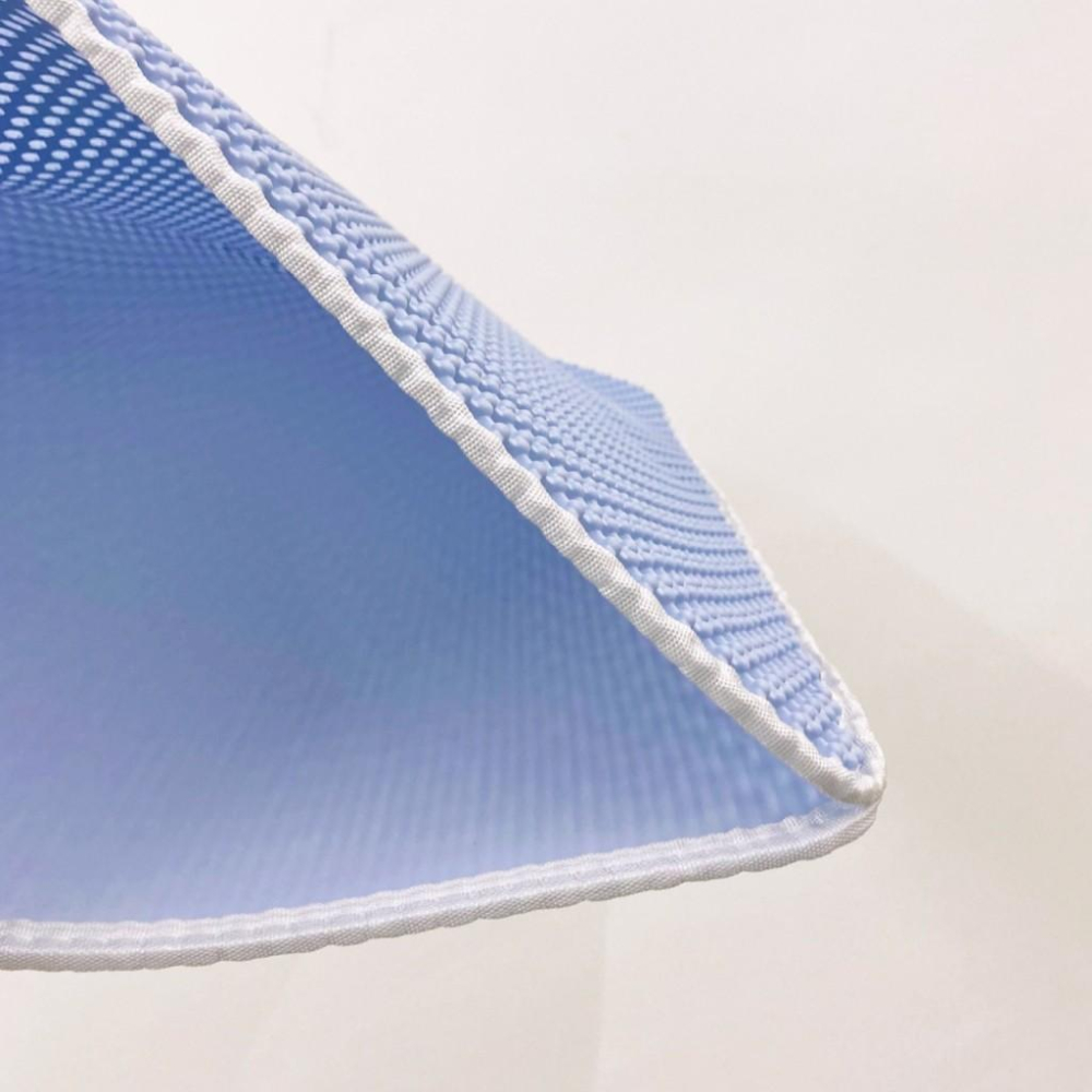 🚀隔日到貨🚀萌寵要當家 台灣現貨 有喵病 防外濺雙層落砂墊 60CM 雙層貓砂墊 落砂踏板 動物造型-細節圖3