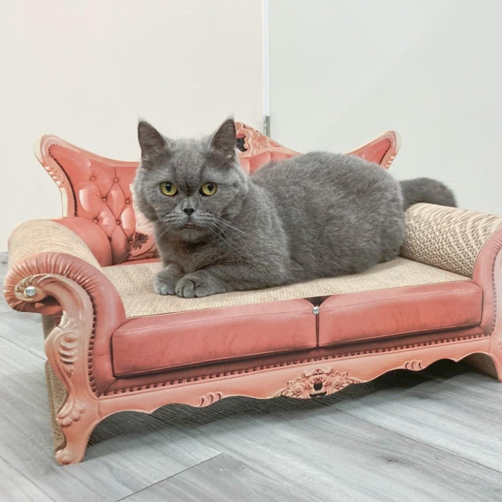 🚀隔日到貨🚀萌寵要當家 台灣現貨 有喵病 復古沙發瓦楞貓抓板 貓抓板 睡窩 貓咪沙發 躺椅貓抓板 貓躺椅-細節圖2