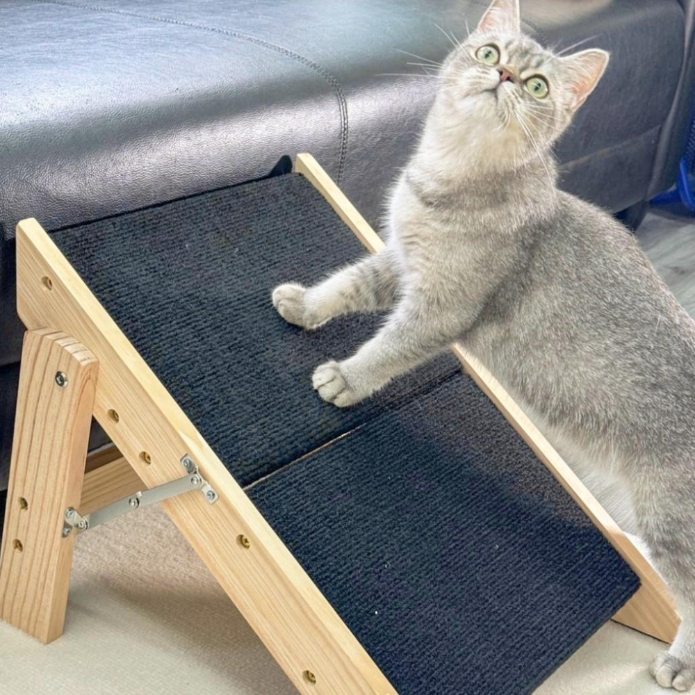 🚀隔日到貨🚀萌寵要當家 寵物來了 台灣現貨 可折疊兩用爬梯-兩層-細節圖4