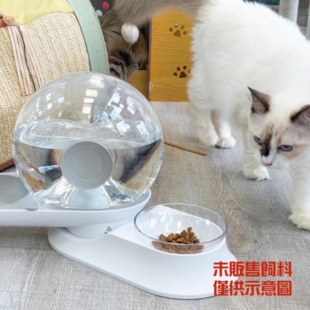 🚀隔日到貨🚀萌寵要當家寵物來了 台灣現貨 蝸牛多功能飲水機 2.8L 免插電 過濾 大容量 貓飲水 狗飲水-細節圖2
