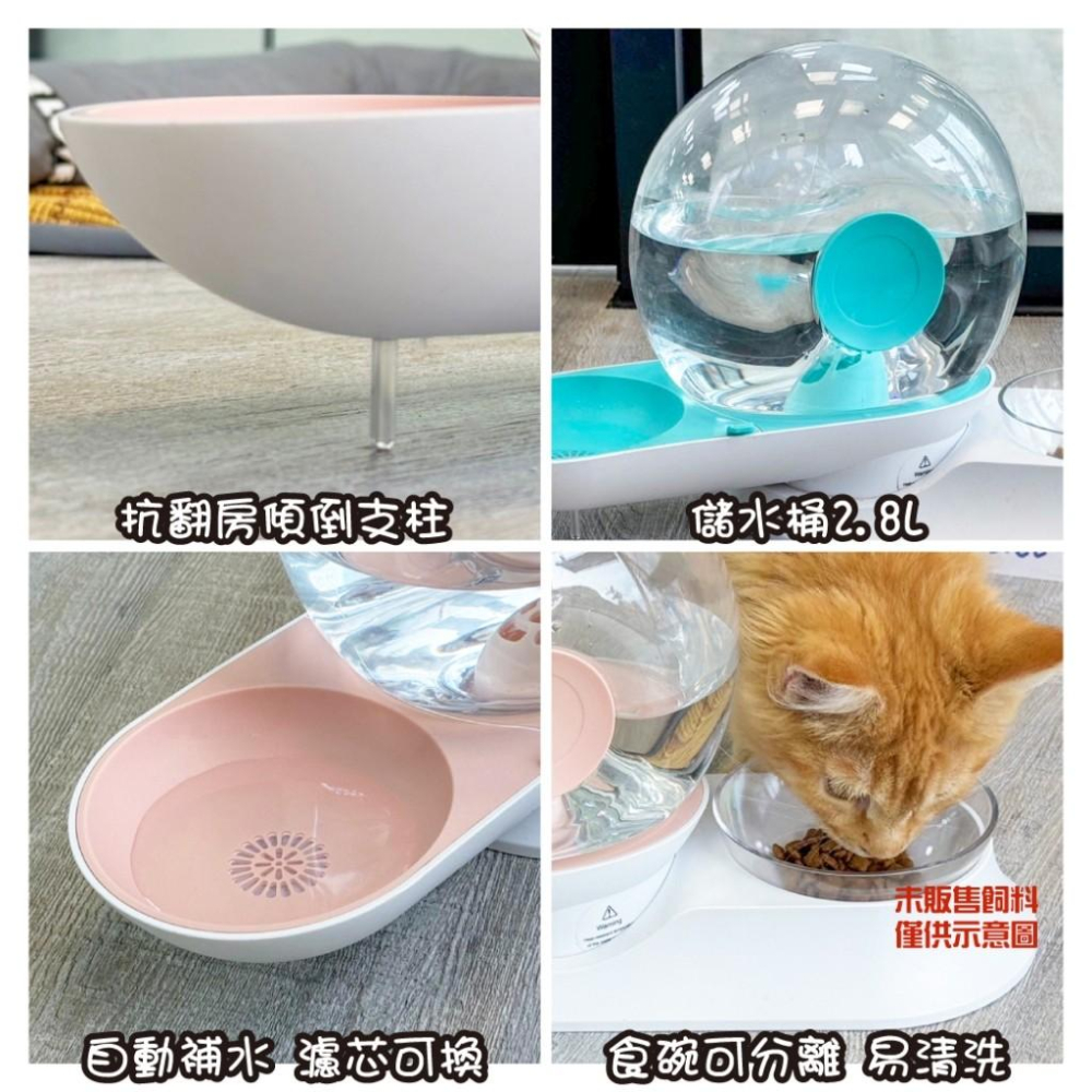 🚀隔日到貨🚀萌寵要當家寵物來了 台灣現貨 蝸牛多功能飲水機 2.8L 免插電 過濾 大容量 貓飲水 狗飲水-細節圖3