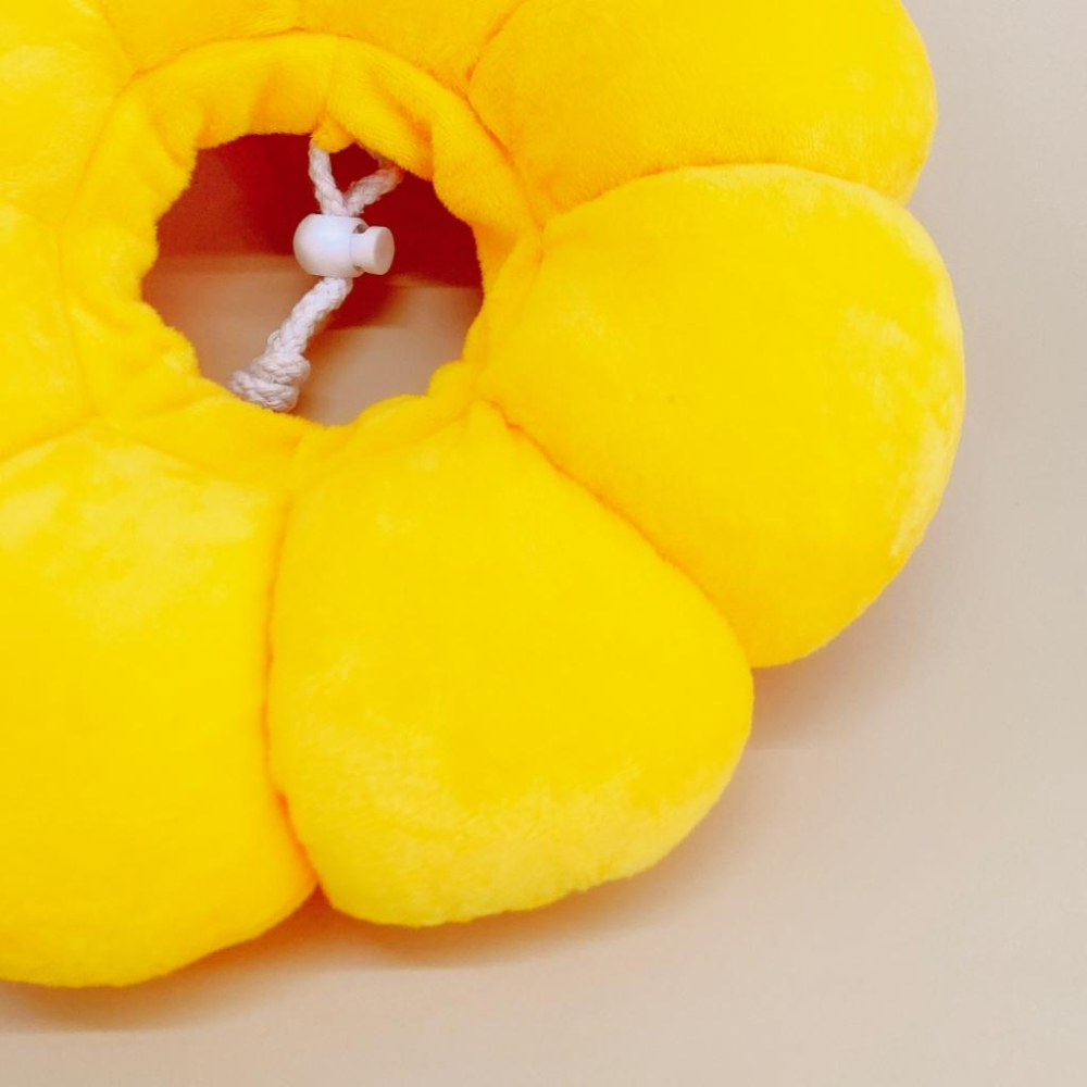 🚀隔日到貨🚀萌寵要當家 台灣現貨 寵物來了 造型頭套 寵物頭套 蘋果造型頭套 奶油獅 防舔咬 伊莉莎白-細節圖9