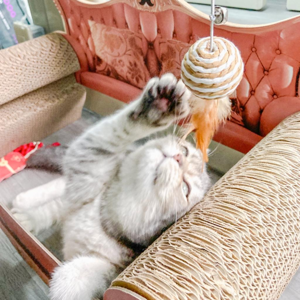 🚀隔日到貨🚀萌寵要當家 有喵病 台灣現貨 木桿逗貓棒 逗貓棒 貓玩具-細節圖8