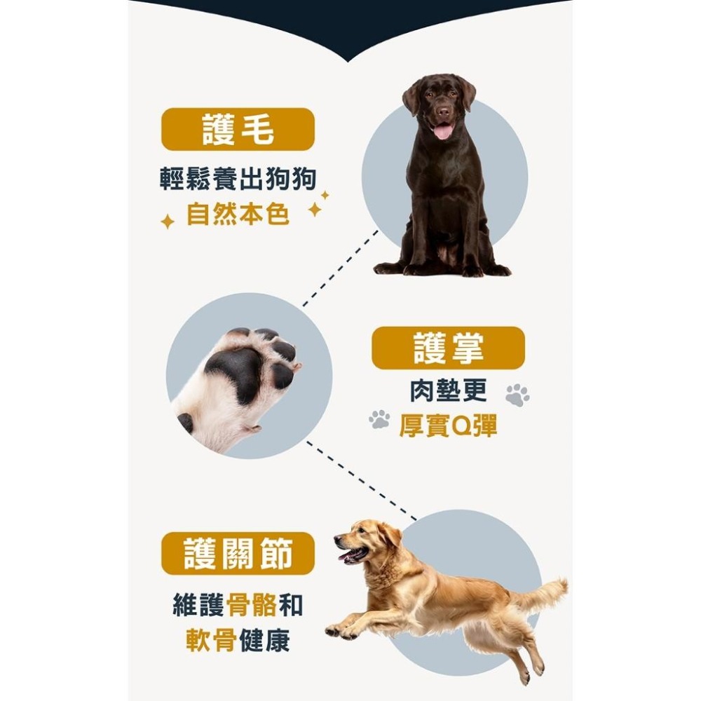 🚀隔日到貨🚀萌寵要當家【柏萊富 Blackwood】狗飼料 全系列犬糧 幼犬 成犬 全齡犬【24lb】大包-細節圖5