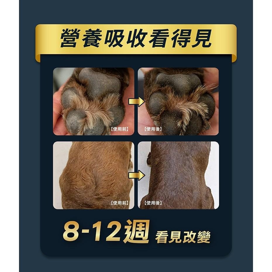 🚀隔日到貨🚀萌寵要當家【柏萊富 Blackwood】狗飼料 全系列犬糧 幼犬 成犬 全齡犬【24lb】大包-細節圖6