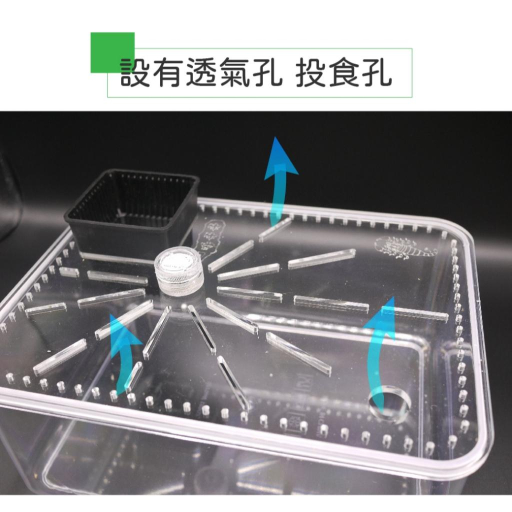 【 寵物來了 台灣現貨 】   爬蟲飼養箱 -方形-細節圖3