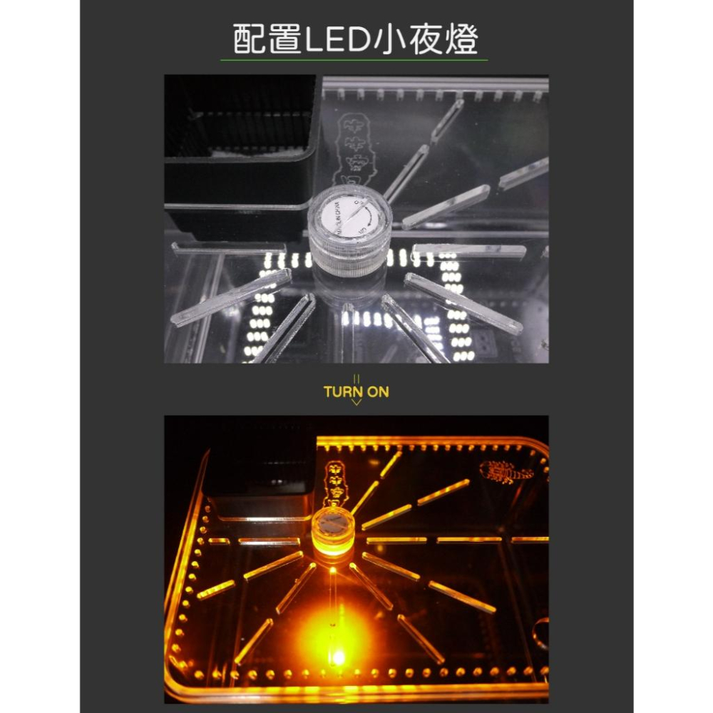 【 寵物來了 台灣現貨 】   爬蟲飼養箱 -方形-細節圖4