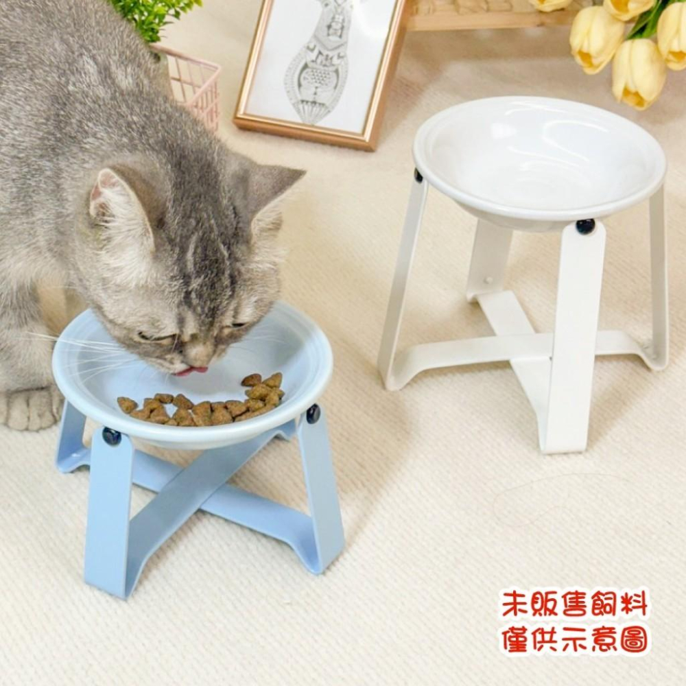 【寵物來了 台灣現貨】 粉彩飛碟碗架 寵物碗 狗碗 貓碗 陶瓷碗 加高碗架 - 汪喵日總匯-細節圖4