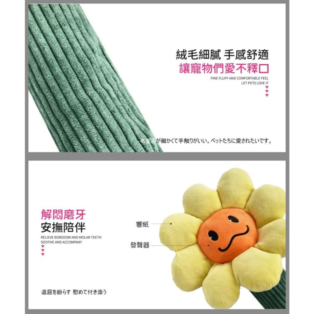 【 寵物來了 台灣現貨 】  花花棒響紙拔河互動玩具 狗狗玩具 - 汪喵日總匯-細節圖4