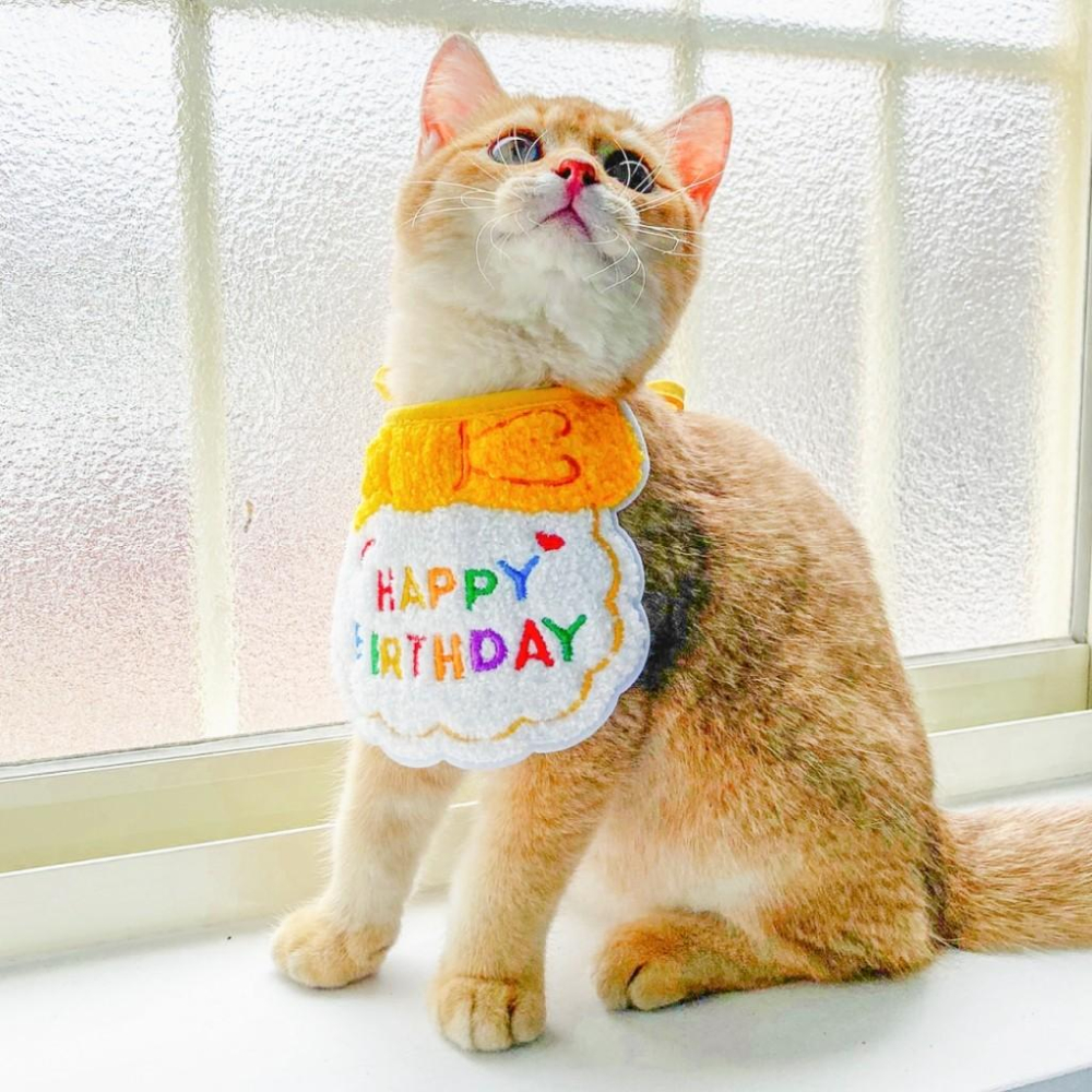 【 有喵病 台灣現貨】 韓風口水巾 寵物領巾 寵物口水巾 貓咪用 小型犬用 生日快樂 - 汪喵日總匯-細節圖3