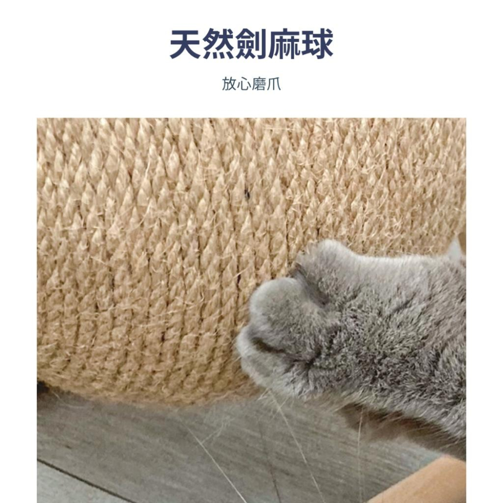 【有喵病】台灣現貨 劍麻貓抓球 貓抓板 貓磨板 貓抓球 貓玩具 寵物用品 - 汪喵日總匯-細節圖5