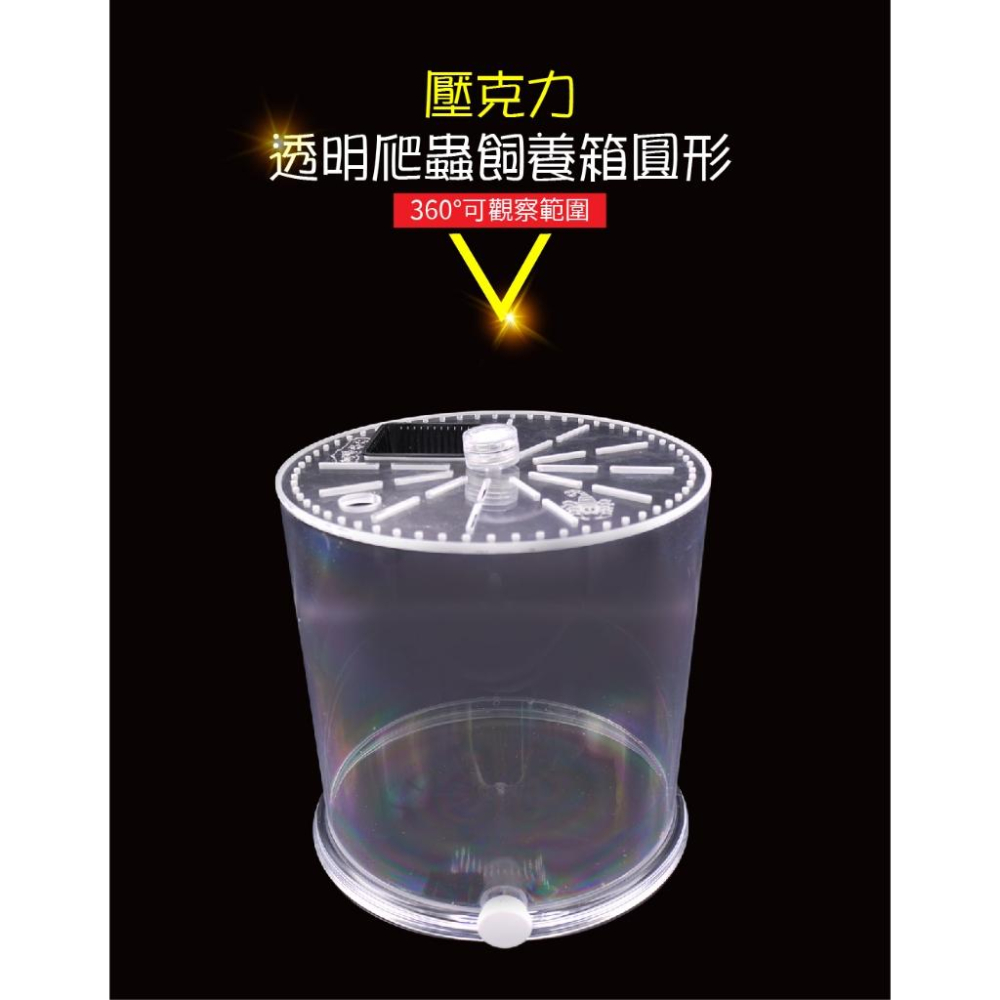 【 寵物來了 台灣現貨 】透明爬蟲飼養箱-圓形 昆蟲用 觀察箱 - 汪喵日總匯-細節圖3