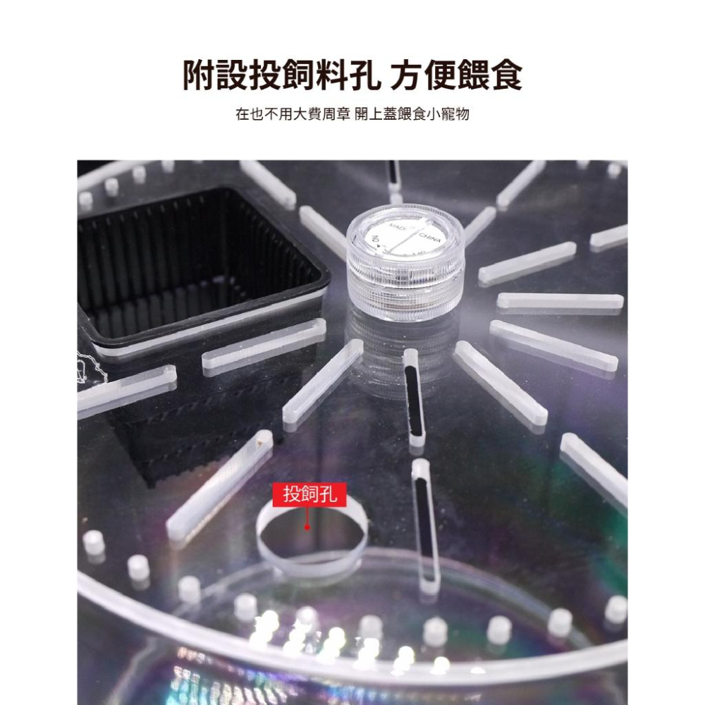 【 寵物來了 台灣現貨 】透明爬蟲飼養箱-圓形 昆蟲用 觀察箱 - 汪喵日總匯-細節圖4