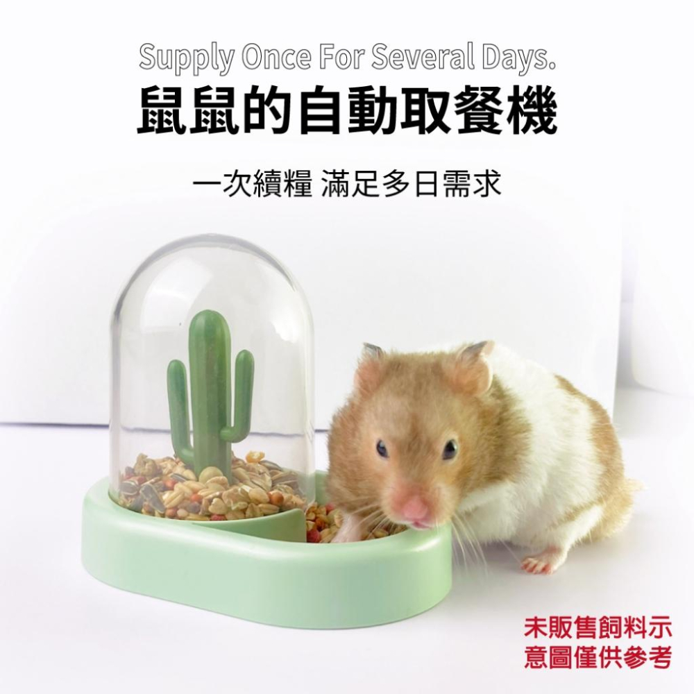 【 寵物來了 台灣現貨】 倉鼠自動餵食器 倉鼠碗 小動物用 - 汪喵日總匯-細節圖3