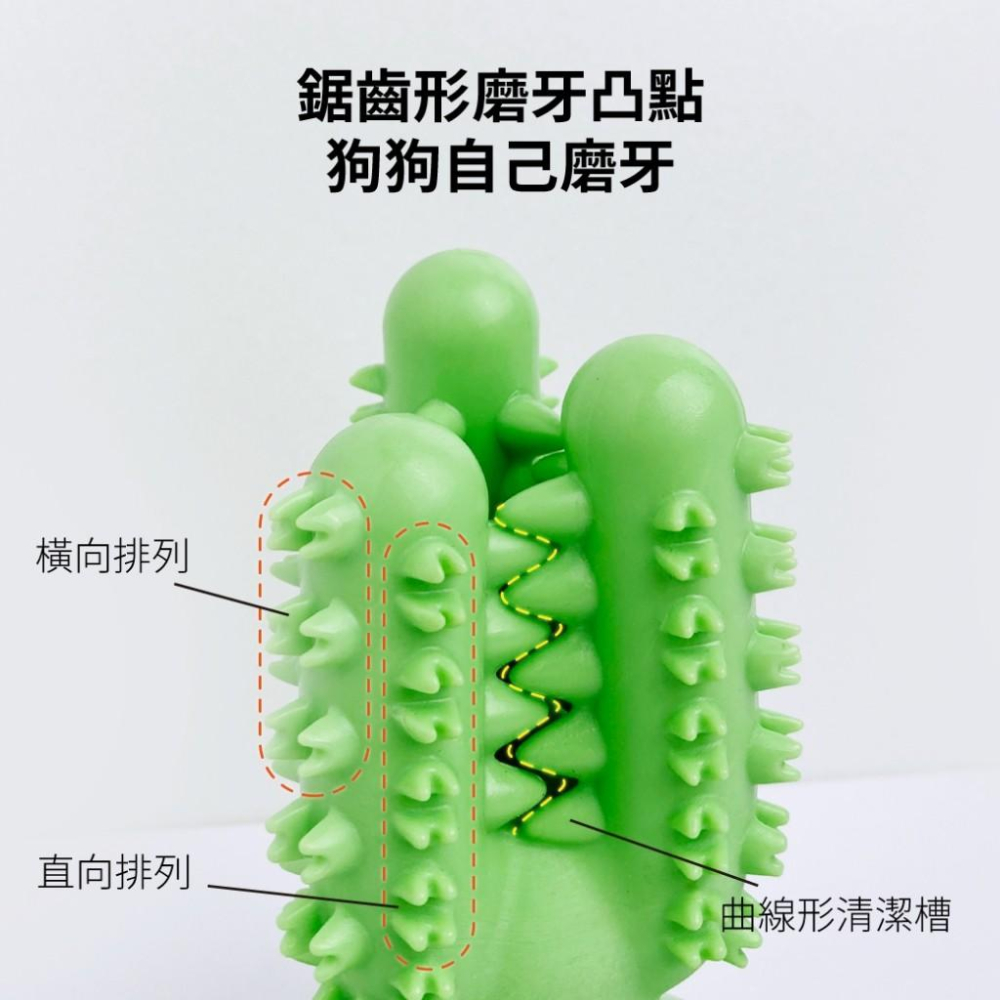 【 寵物來了 台灣現貨 】  仙人掌吸盤狗玩具 磨牙玩具 - 汪喵日總匯-細節圖4