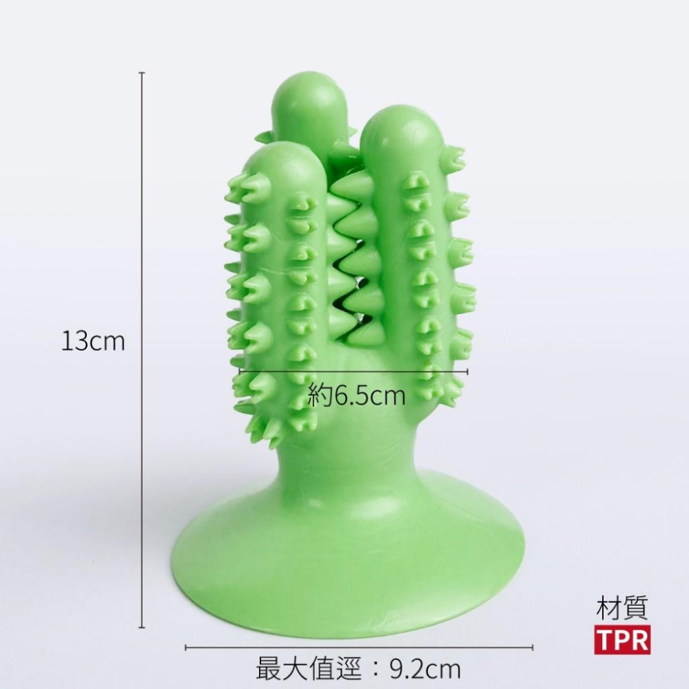 【 寵物來了 台灣現貨 】  仙人掌吸盤狗玩具 磨牙玩具 - 汪喵日總匯-細節圖5