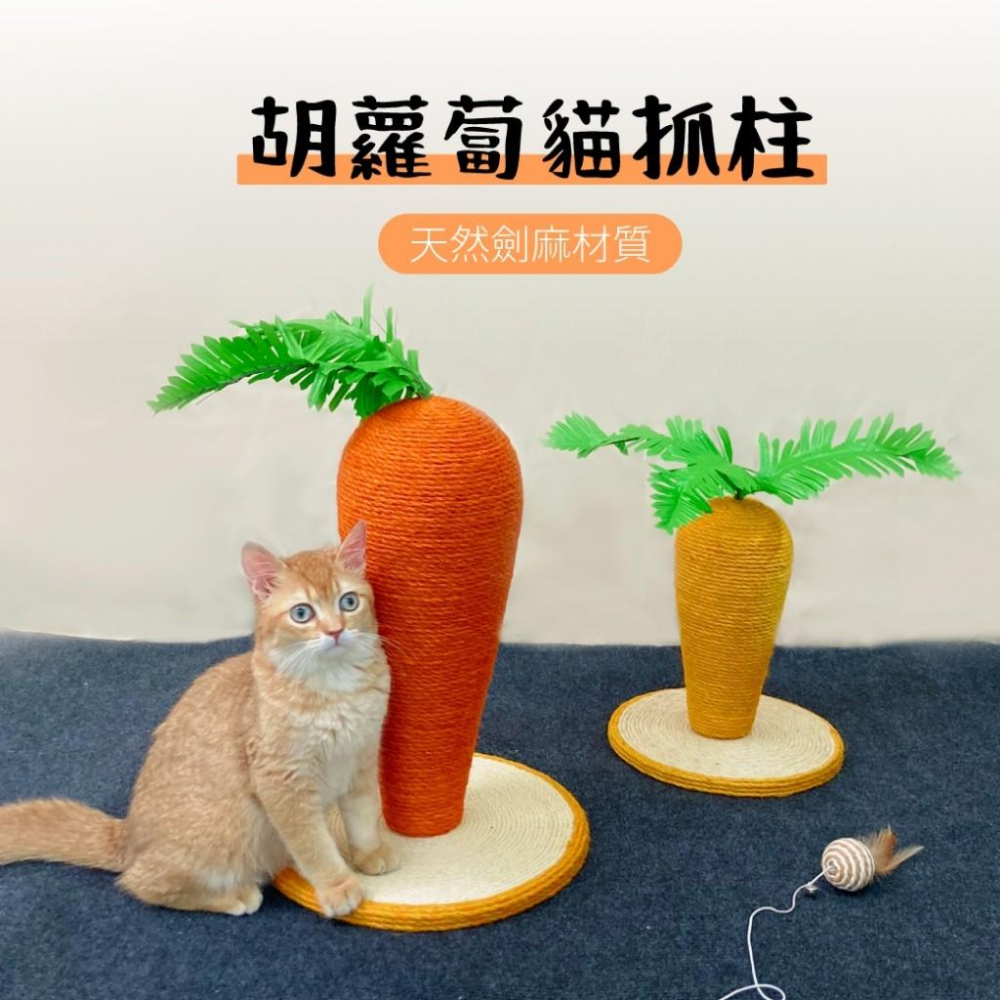 【 有喵病 台灣現貨】胡蘿蔔貓抓柱 造型貓抓柱 貓玩具 - 汪喵日總匯-細節圖2