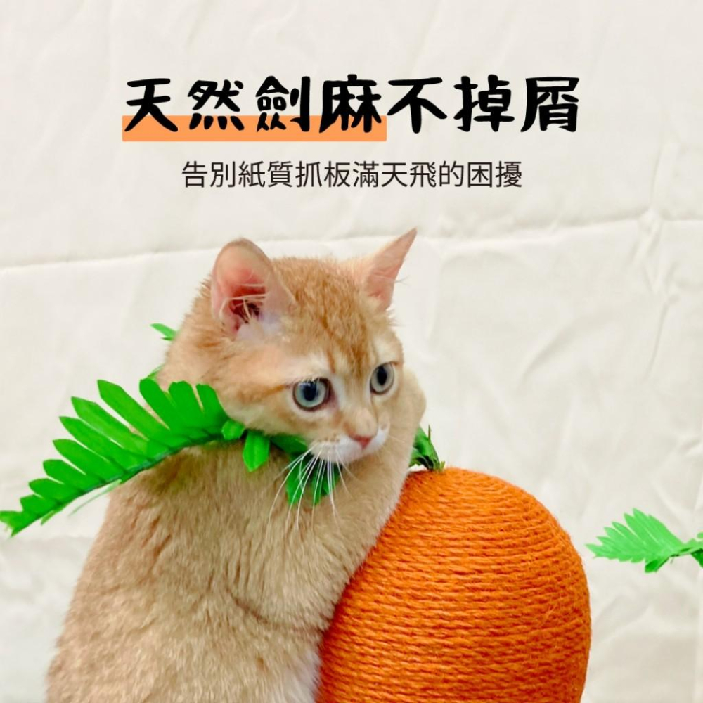 【 有喵病 台灣現貨】胡蘿蔔貓抓柱 造型貓抓柱 貓玩具 - 汪喵日總匯-細節圖3