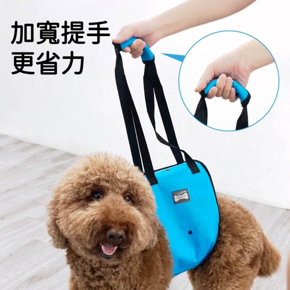 【 寵物來了 台灣現貨 】 狗狗走路輔助背帶 - 汪喵日總匯-細節圖4