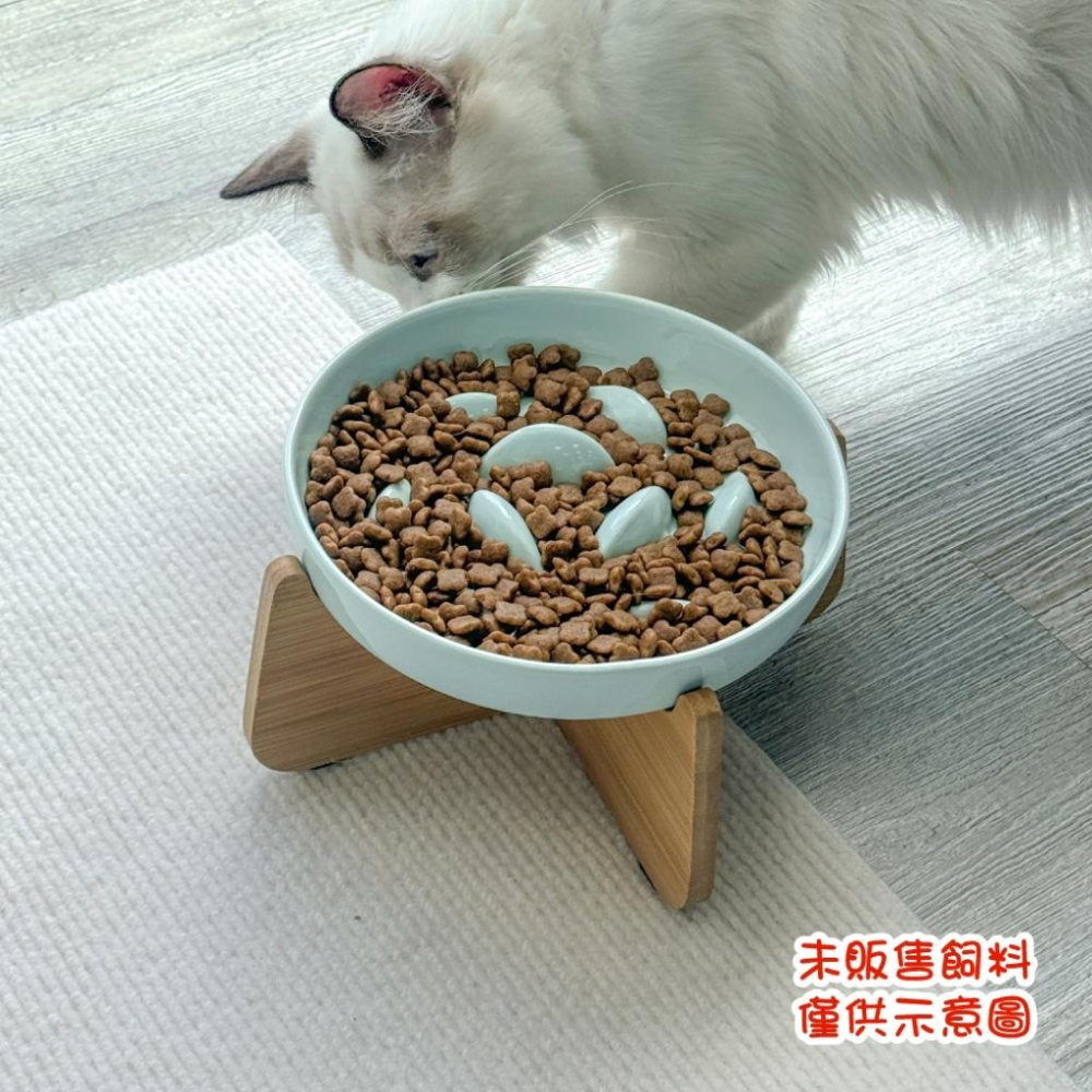 毛寵星人【寵物來了 台灣現貨】 加高防漏金魚慢食碗 寵物陶瓷碗 寵物慢食碗 貓碗 寵物杯碗 狗碗-細節圖4