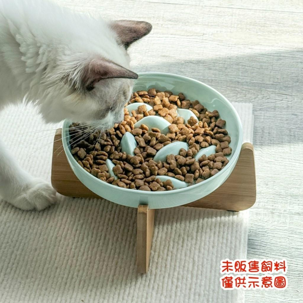 毛寵星人【寵物來了 台灣現貨】 加高防漏金魚慢食碗 寵物陶瓷碗 寵物慢食碗 貓碗 寵物杯碗 狗碗-細節圖7