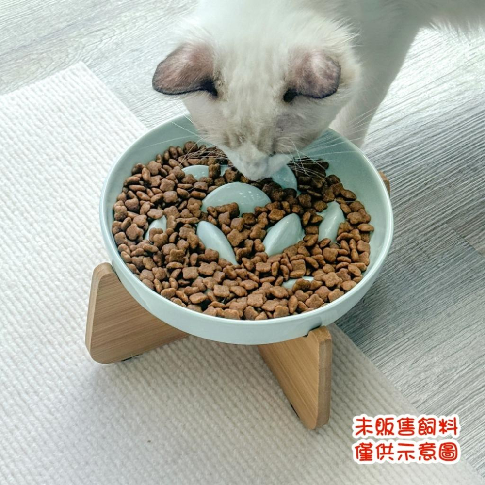 毛寵星人【寵物來了 台灣現貨】 加高防漏金魚慢食碗 寵物陶瓷碗 寵物慢食碗 貓碗 寵物杯碗 狗碗-細節圖8