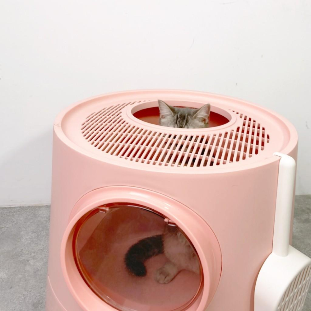 毛寵星人【有喵病 台灣現貨】城堡組合貓砂盆>便盆>造型便盆>貓用>貓廁所-細節圖5
