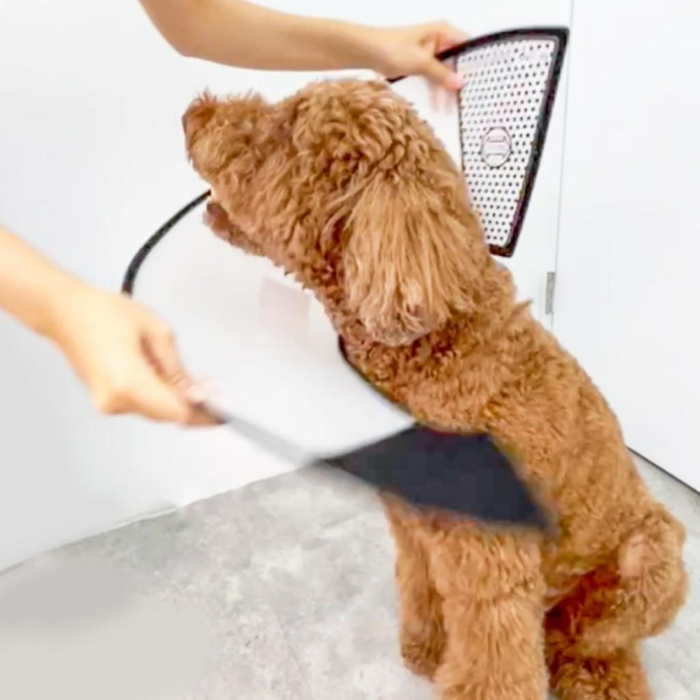 毛寵星人【寵物來了 台灣現貨】輕便防舔咬頭套 頭套 寵物頭套 防舔咬 術後頭套 寵物用-細節圖4