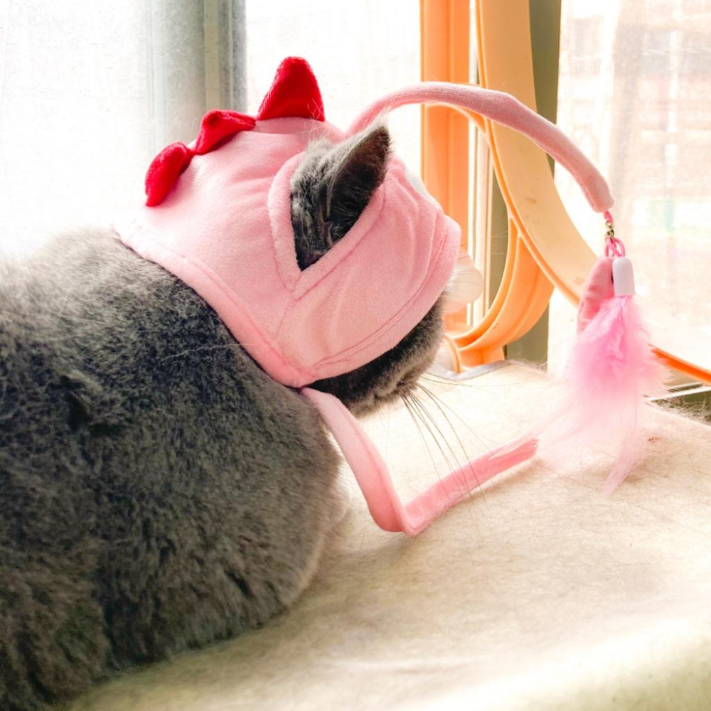 毛寵星人【有喵病 台灣現貨】自嗨俏皮頭套 造型頭套 搞怪 寵物頭套 貓頭套 變裝 狗狗-細節圖3