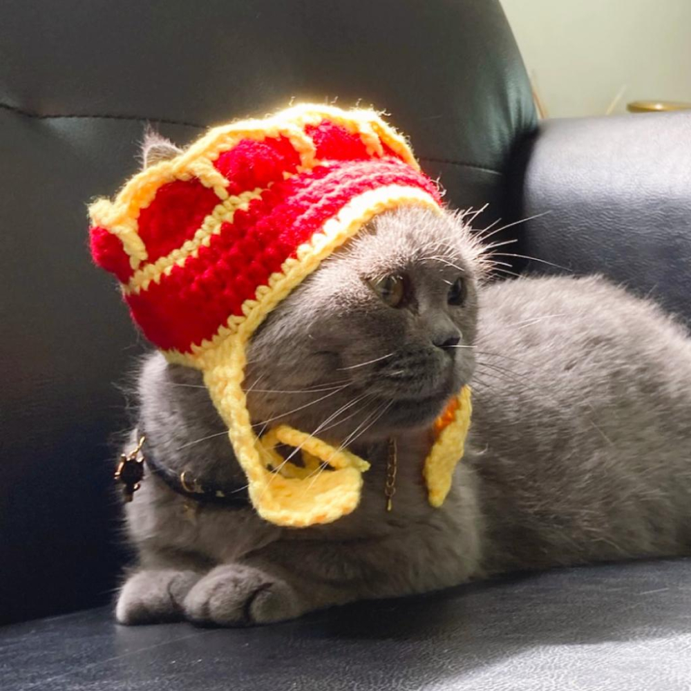 毛寵星人【有喵病 台灣現貨】自嗨俏皮頭套 造型頭套 搞怪 寵物頭套 貓頭套 變裝 狗狗-細節圖6