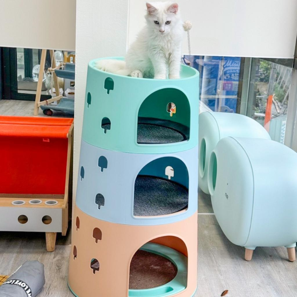 毛寵星人【有喵病 台灣現貨】 四季通用多功能貓塔-細節圖2