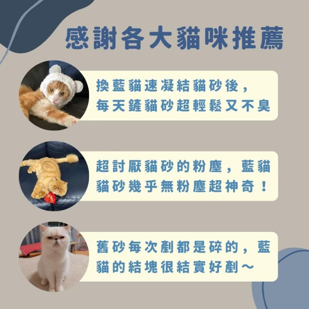 毛寵星人【韓國藍貓 速凝結貓砂】天然原礦膨潤土 不易崩解 強力除臭 強效抗菌 貓砂-細節圖3