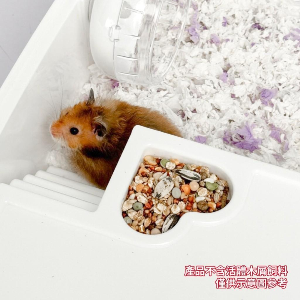 毛寵星人 寵物來了 台灣現貨 豪華隧道倉鼠籠 哈姆太郎 沙鼠 倉鼠 趴趴鼠 三線鼠 黃金鼠 寵物鼠籠-細節圖9