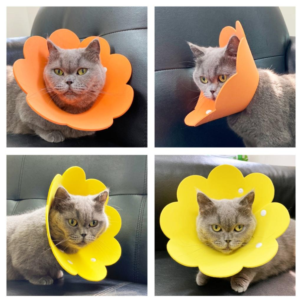 台灣現貨毛寵星人 造型頭套 寵物頭套 EVA防舔咬 趣味 毛絨可調節 花朵 伊莉莎白-細節圖4