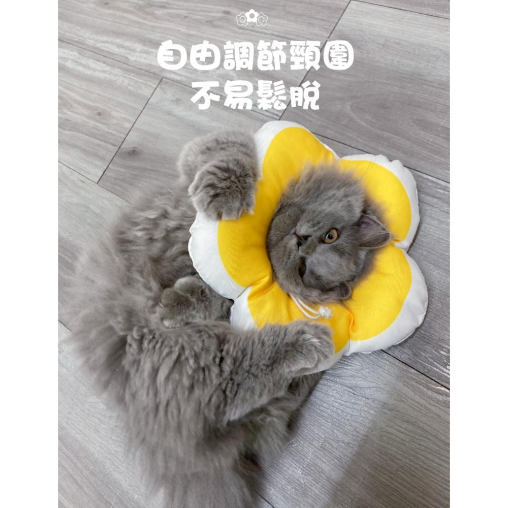 台灣現貨毛寵星人 造型頭套 寵物頭套 EVA防舔咬 趣味 毛絨可調節 花朵 伊莉莎白-細節圖8