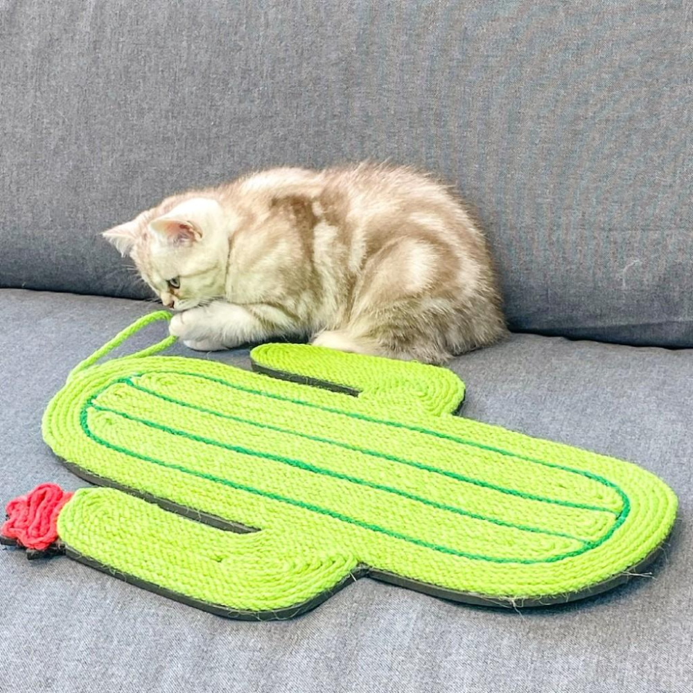 毛寵星人【寵物來了 台灣現貨】劍麻貓抓墊 貓抓板 劍麻 磨爪-細節圖2