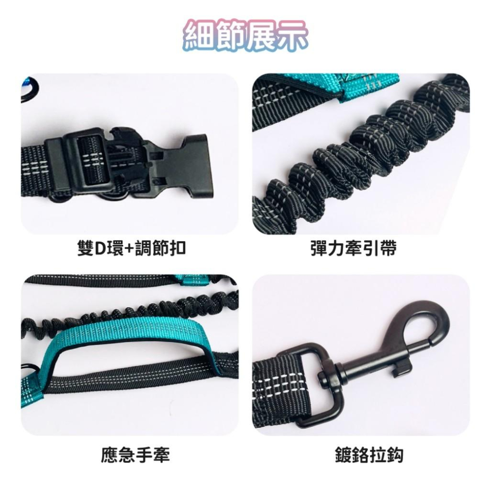 萌寵要當家寵物來了  雙彈力跑步牽繩 寵物牽繩 外出繩 螢光牽繩 反光繩 解放雙手 腰帶牽繩 狗牽繩-細節圖4