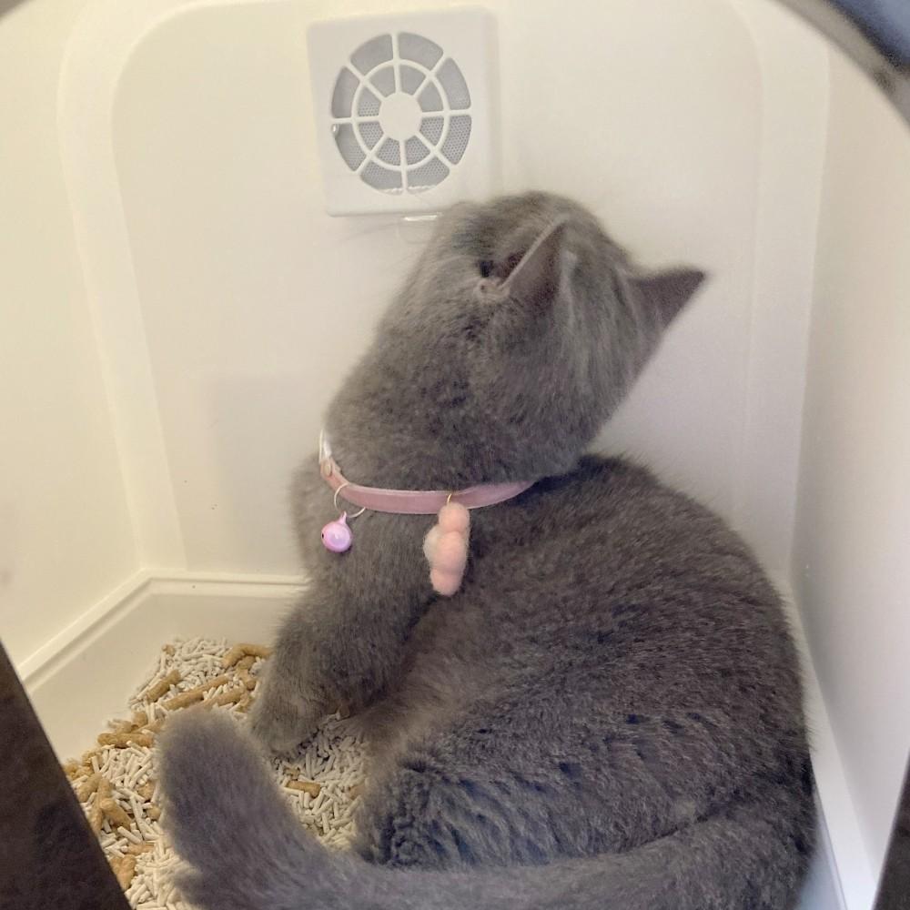 毛寵星人【有喵病 台灣現貨】高雅弧形封閉式貓砂盆 貓砂盆 抽屜式-細節圖3