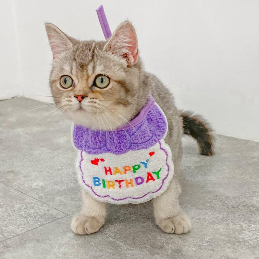 毛寵星人【有喵病 台灣現貨】韓風口水巾 寵物裝扮 中國風口水巾-細節圖2