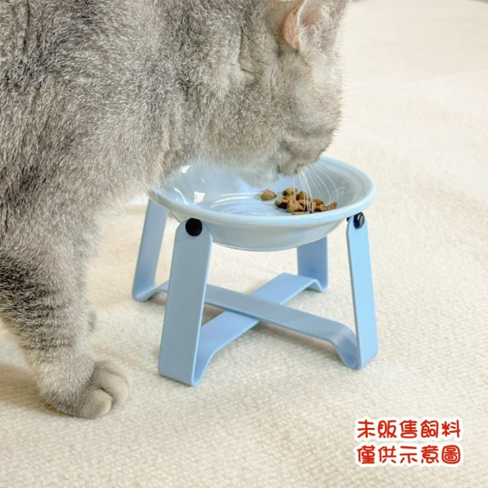 台灣現貨毛寵星人 寵物來了 粉彩飛碟碗架 寵物碗 狗碗 貓碗 陶瓷碗 加高碗架-細節圖7